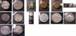 London Coins : A144 : Lot 806 : India -Bengal Islamic Sultanates, Bengal Presidency, Mughal Empire, a varied group (18), the majorit...