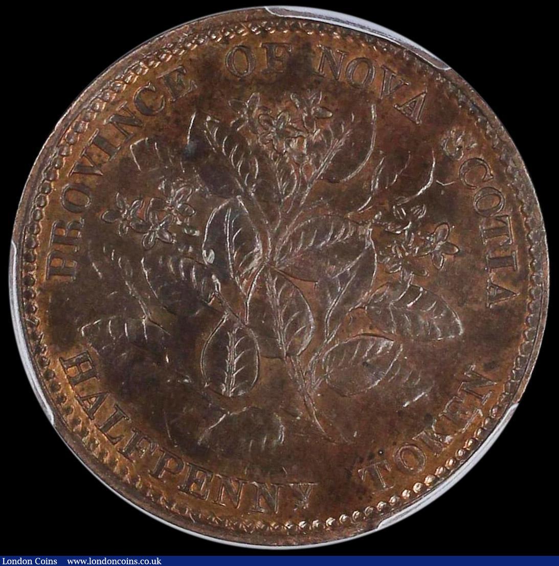 London Coins : A162 : Lot 1131 : Canada - Nova Scotia Halfpenny Token 1856 NS-5A1 BR-876 KM#5 UNC with lustre, in a PCGS holder and g...