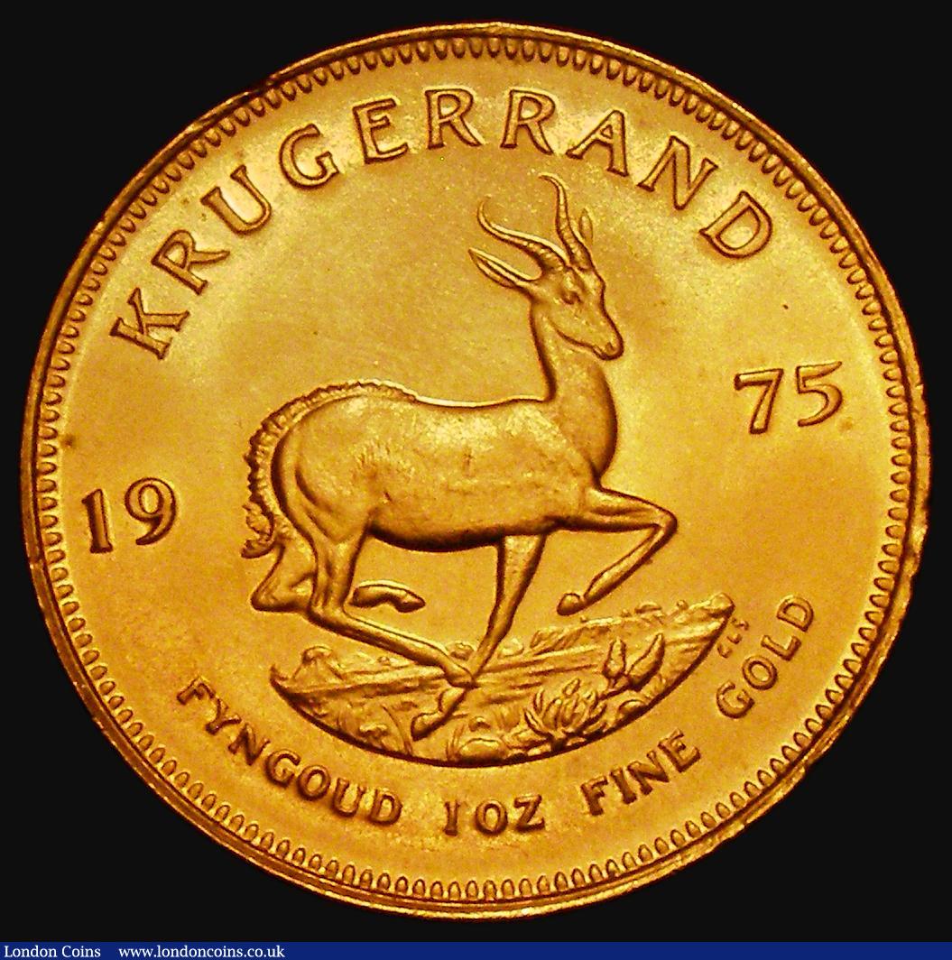 London Coins : A176 : Lot 1032 : South Africa Krugerrand 1975 KM#73 Lustrous UNC with some edge nicks
