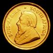 London Coins : A156 : Lot 1361 : South Africa One Tenth Krugerrand 1981 KM#105 Lustrous UNC